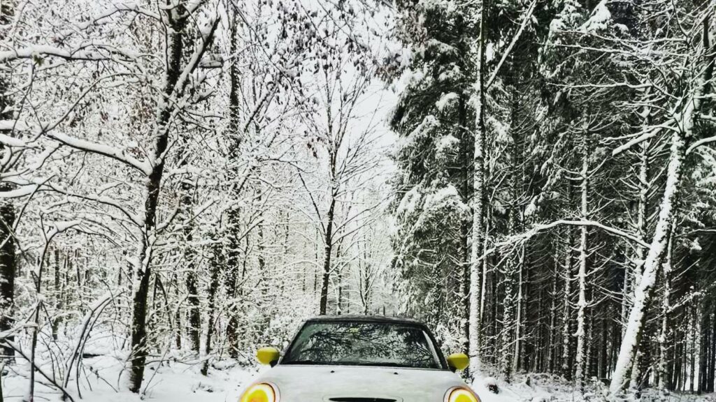Kann ich mein altes Auto gegen ein Elektroauto eintauschen?