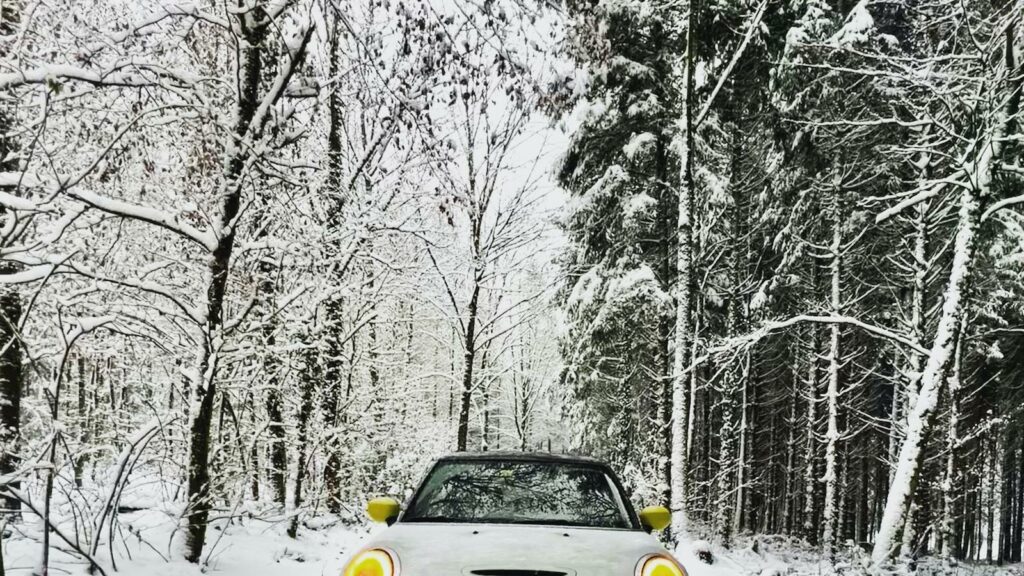 Was kostet das Aufladen eines Elektroautos?